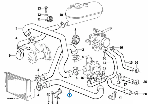BMW parts diagram with part 11531278925 (Radiator Bottom Hose - M20) highlighted in the cooling system water hoses assembly
