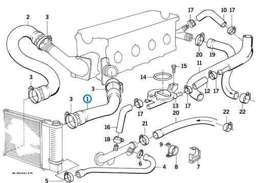 BMW parts diagram with part 11531715219 (Radiator Top Hose - M40) highlighted in the cooling system water hoses assembly