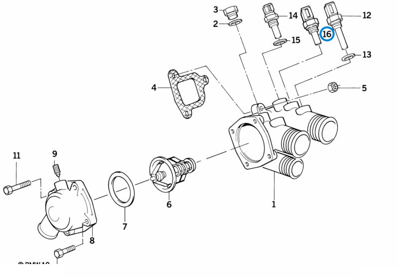BMW parts diagram with part 12621288158 (Water Temperature Sensor - M21 / M30 / M60) highlighted in the cooling system thermostat housing assembly