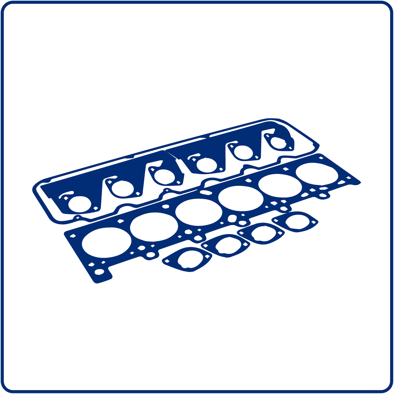 Gaskets & Seals